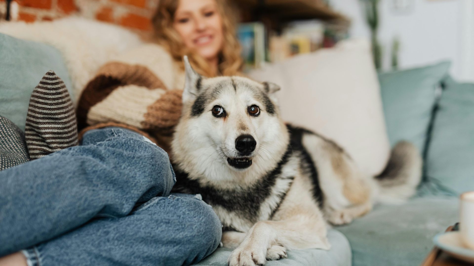 a woman sitting on a couch with a husky dog at The La Ventana at Canyon West Apartments